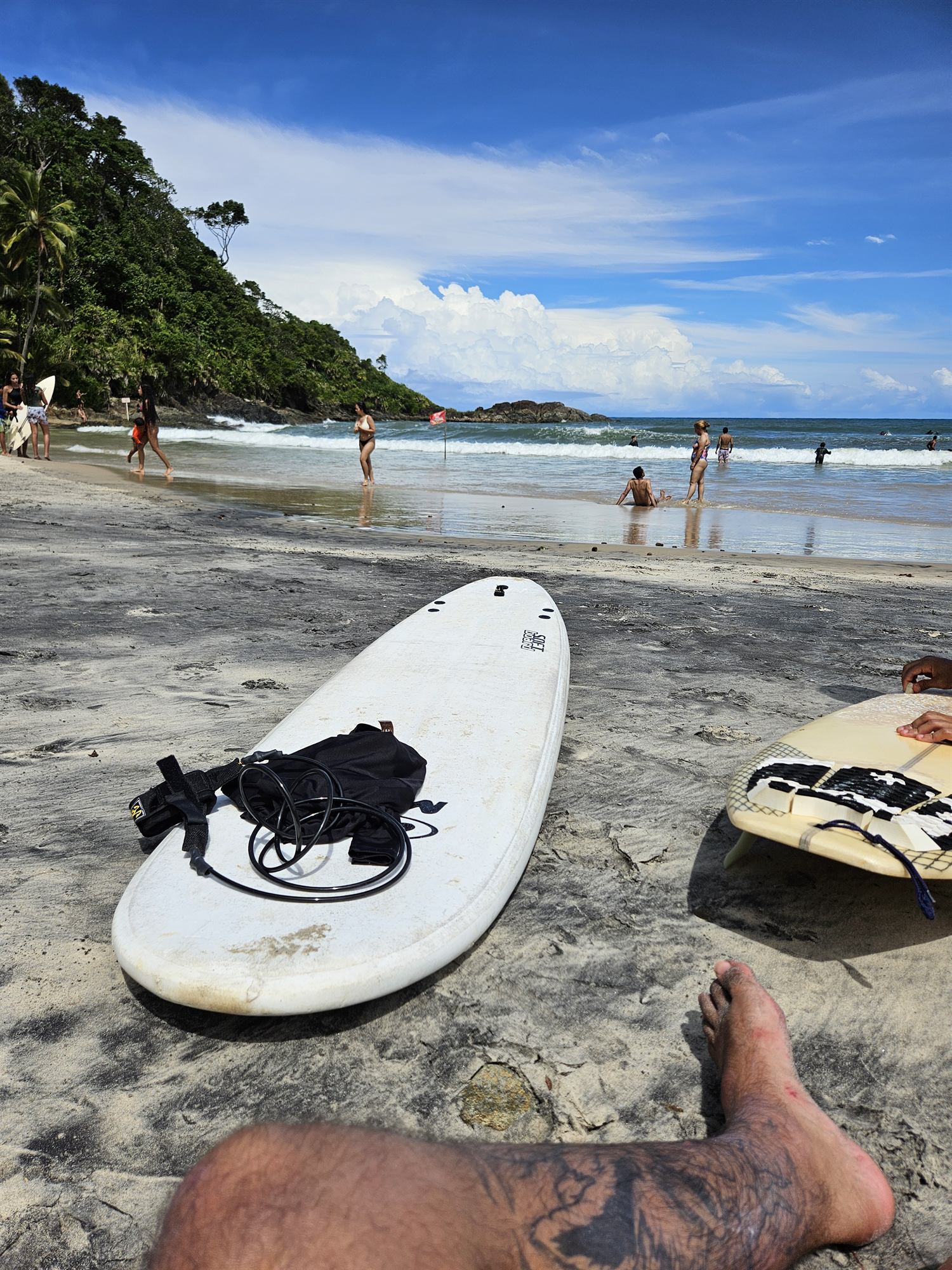 Surfboards on a beach